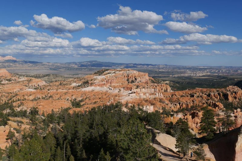 Bryce Canyon's striking rock formations rise under a clear blue sky, showcasing stunning natural beauty.